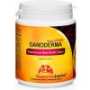 Superionherbs Duanwood Reishi Spor 90 kapsúl