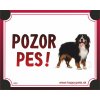 HP product for Happy Pets Tabulka POZOR PES - bernsky salasnick