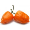 Habanero Orange (semená) chilli