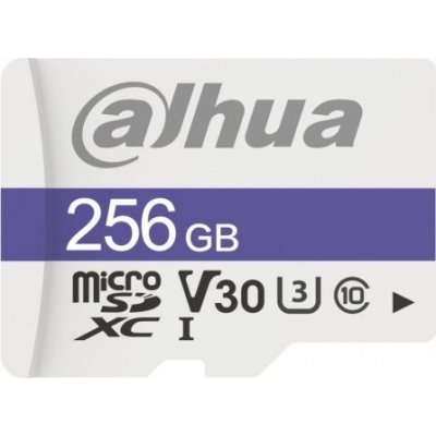 Dahua MicroSDXC Class 10 256 GB TF-C100/256GB