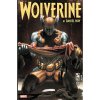 Marvel Wolverine by Daniel Way: The Complete Collection 4