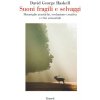 Suoni fragili e selvaggi. Meraviglie acustiche, evoluzione creativa e crisi sensoriale