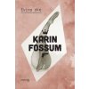 Evino oko - Karin Fossum