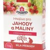 Hnojivo s čadičovou múčkou - jahody a maliny - Rosteto - hnojivo - 1 kg