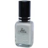 Four Seasons lak na nechty 14ml - č. 64