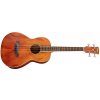 Ibanez PNB14E Natural