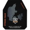 Ballistic Plate PGD Berserker Level 4