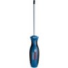 BOSCH Skrutkovač TX40x125 1600A01V0F