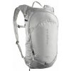 Turistický batoh Salomon Trailblazer 10 - cloudburst/paloma/silver