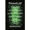 Pavoučí síť - David Enrich