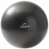 Crivit Gymnastická lopta (75 cm) (100369478)