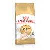 Royal Canin Sphynx Adult 2 kg