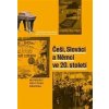 Češi, Slováci a Němci ve 20. století - Miloš Řezník, Dušan Kováč, Martin Schulze Wessel