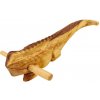 Hudobné zvieratko Iguana