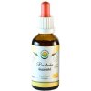 Salvia Paradise Rosolovka řasotvará AF tinktura 50 ml