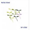 Trchová Martina - 90% štěstí / Vinyl [LP]