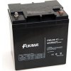 FIAMM Akumulátor FUKAWA FWL28-12 (12V 28Ah živ. 10 rokov) 11511