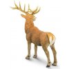 Safari® Jeleň červený