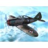 Special Hobby Seversky P-35 War games and War Training 1/72