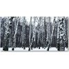 Foto obraz akrylové sklo Brezy zima 100x50 cm