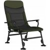 Kreslo VidaXL 4006416 zelené