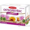 TEREZIA PESTREC + REISHI forte 120 kapsúl