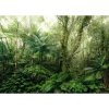 Komar Vliesová fototapeta Mindfulness 350 x 250 cm