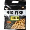 Dynamite Baits Boilies Big Fish Sweet Tiger Corn - 5 kg 20 mm
