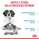 Royal Canin Starter Mother&Babydog Medium 4 kg