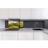 DIMEX | Dibond doska za kuchynskú linku | DBW-08040-083 Lúka | 80 x 40 cm + Dibond obkladová doska Dimex do kuchyne Lúka v rozmere 80 x 40 cm + lepidlo zadarmo
