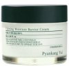 PYUNKANG YUL - Calming Moisture Barrier Cream - reparačný krém 50 ml