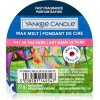 Yankee Candle Art In The Park vosk do aromalampy 22 g