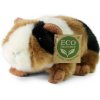 Plyšové morča 17 cm ECO-FRIENDLY