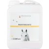 Waldhausen Intensive Insect Protection repelent pre kone – 2500 ml