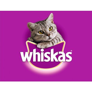 Whiskas Adult s kuřecím mäsom 14 kg