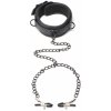 Master Series Collared Temptress Collar with Nipple Clamps