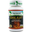 Abnoba Planet Ayurveda Shilajit MUMIO 60 kapsúl