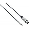 Bespeco EAMC300 3 m Audio kábel