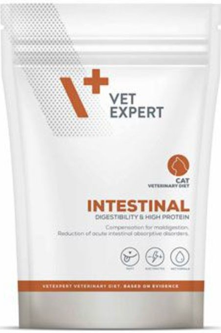 VetExpert 4T Intestinal Cat 100 g