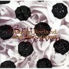 Vinyl Adrian Borland and The Citizens - BRITTLE HEAVEN