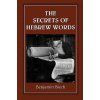 Secrets of Hebrew Words (Benjamin Blech)(Brožovaná)