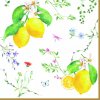 Servítky Fleurs et Citrons veľké 33x33cm - Easy Life