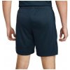 Pánske šortky Dri-FIT Academy M DR1360-451 - Nike S (173 cm)