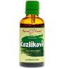 Bylinné kvapky Valeriána lekárska (valeriánske/kozlíkové) - tinktúra, 50 ml
