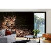 Samolepiaca vliesová fototapeta Ležiaci leopard 375 x 250 cm