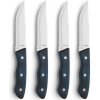 Amefa Sada steakových nožov HERCULE XL 4 ks