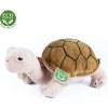 Rappa Plyšová želva Agáta 25 cm ECO-FRIENDLY