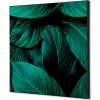 Jansen Display Textilná dekorácia na stenu 40 x 40 Listy rastlín Zelená, 400 x 400 mm