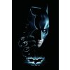 Plagát, Obraz - The Dark Knight Trilogy - Batman, 26.7 × 40 cm