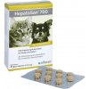 HepatoSan 700 mg 21 g 30 ks